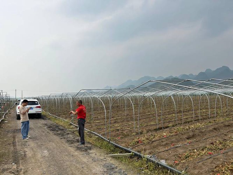 探索哈密地区的温室大棚技术革新