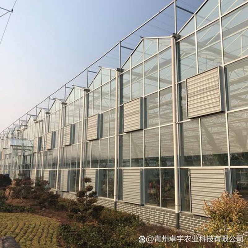 现代农业灌溉：滴灌工程设计理念与应用